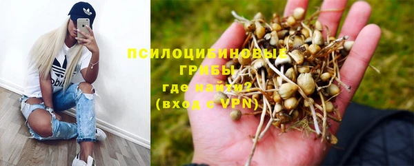 не бодяженный Медвежьегорск