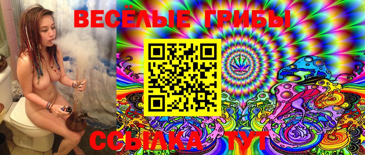 Псилоцибиновые грибы Psilocybine cubensis Кудымкар