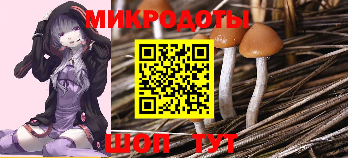 Псилоцибиновые грибы Psilocybe  купить наркотики сайты  Вход с VPN  Кудымкар  Галлюциногенные грибы ЛСД 